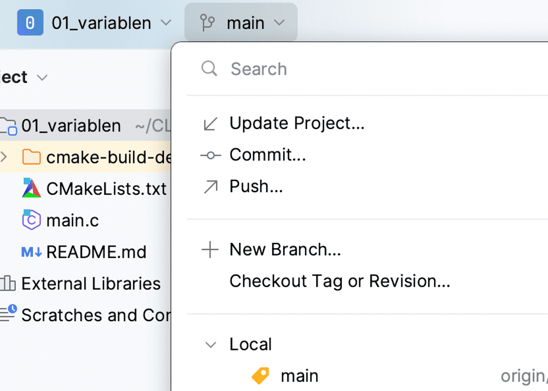 CLion-New-Branch